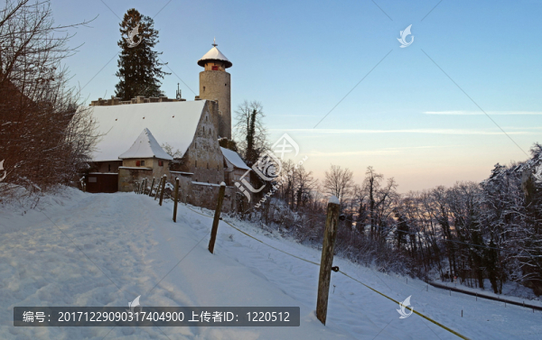 Schloss,birseck在冬天