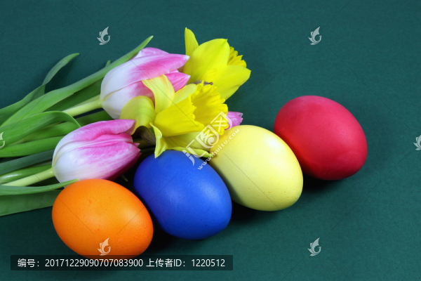 郁金香，水仙花和復(fù)活節(jié)彩蛋