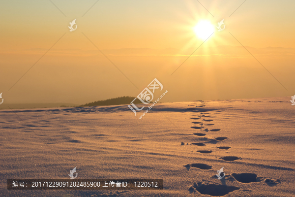 朝向太陽(yáng)