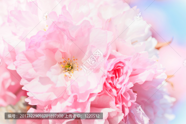 藍色