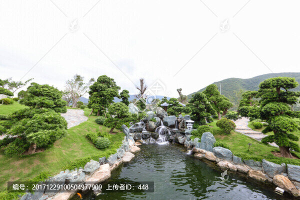 建筑園林,園林,樹木,景觀