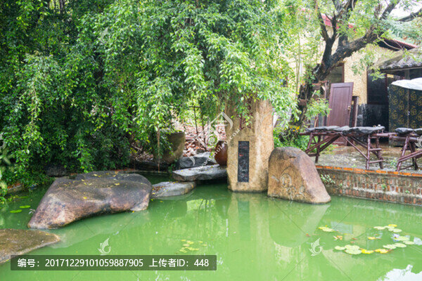園林景色,庭院一角,池塘