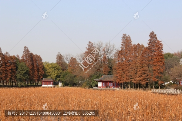 磨山公園風(fēng)景
