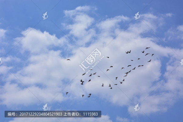 藍(lán)天白云