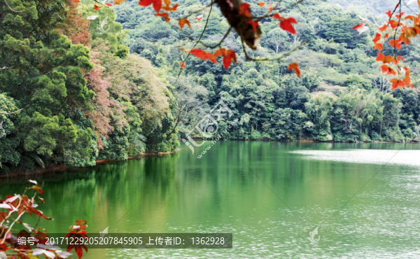 仙湖晚秋