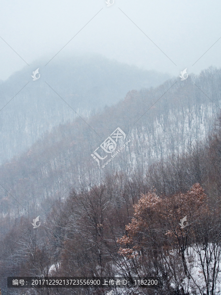 雪中山林