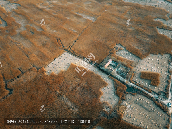 航拍濕地風(fēng)光