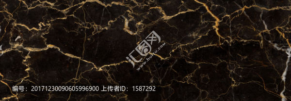 黑金花