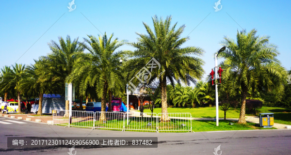 橘子洲公園景區(qū)