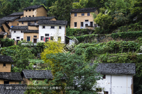 徽州陽產土樓35
