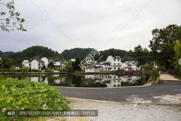 琶塘美麗鄉(xiāng)村9