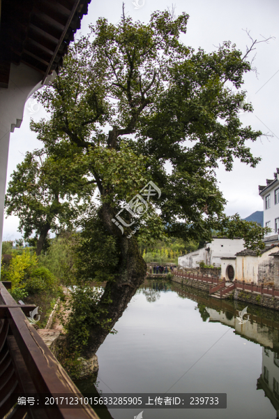 琶塘美麗鄉(xiāng)村13