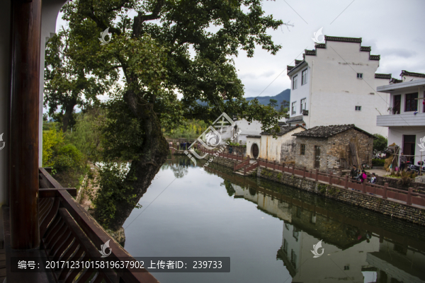 琶塘美麗鄉(xiāng)村15