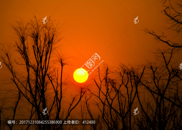 夕陽紅