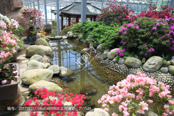 花卉博覽園,杜鵑博覽園