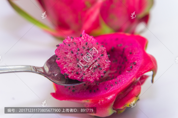 紅肉火龍果,火龍果高清大圖