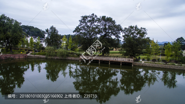 航拍琶塘村7