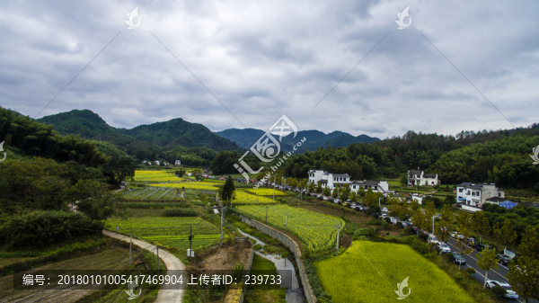 蜀源葵花園26
