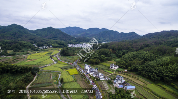 蜀源葵花園33
