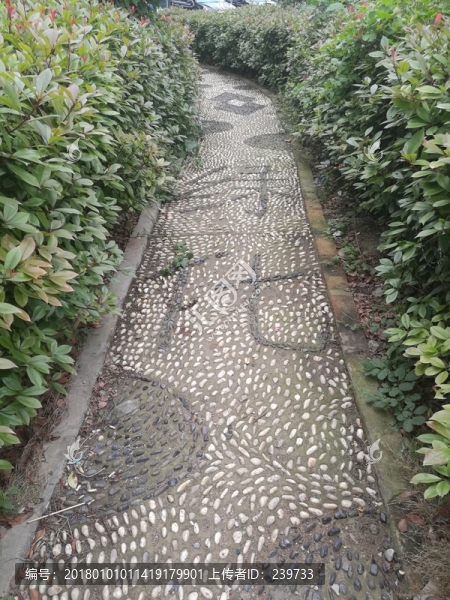 公園步道