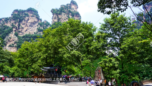 天子山風(fēng)景