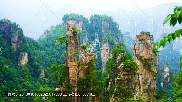 天子山風(fēng)景