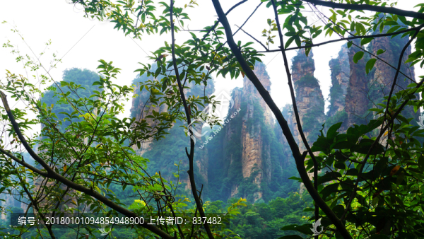 袁家界峻山
