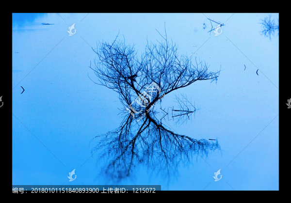 水中倒影