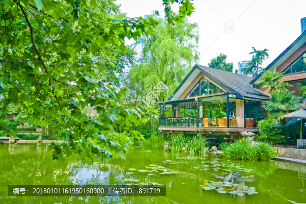 綠樹林,小木屋