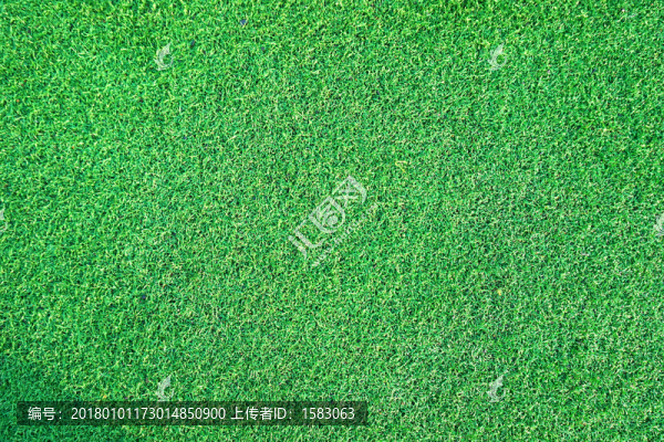 人造草皮紋理