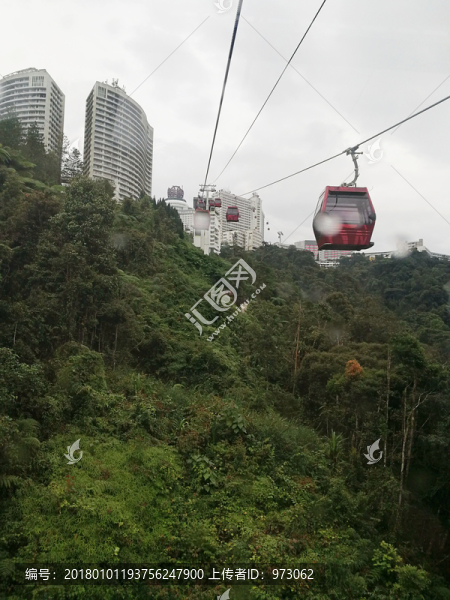 云頂,纜車外,山林