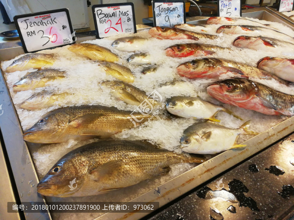 馬來西亞,蜜城,冰鎮(zhèn)魚