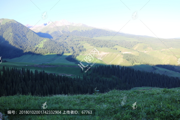 初夏的山谷