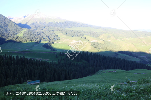 初夏的山谷