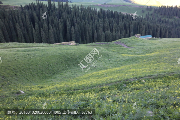 初夏的山谷