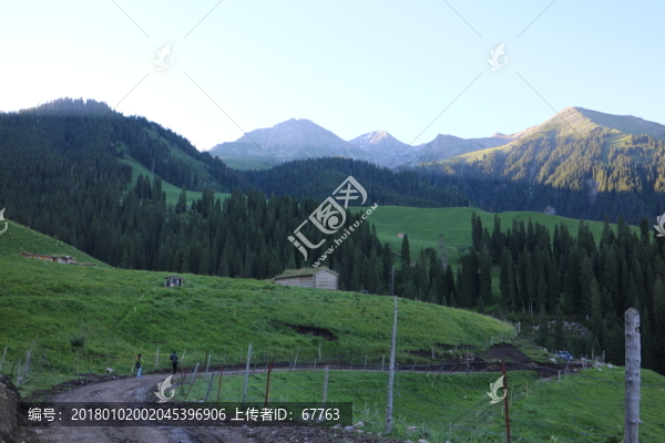 初夏的山谷