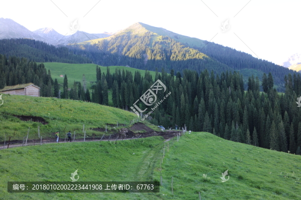 初夏的山谷