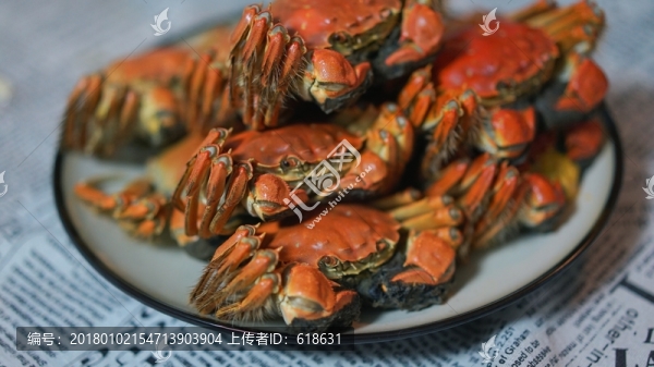 陽澄湖大閘蟹