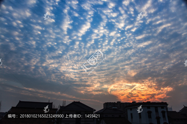 鱗狀晚霞