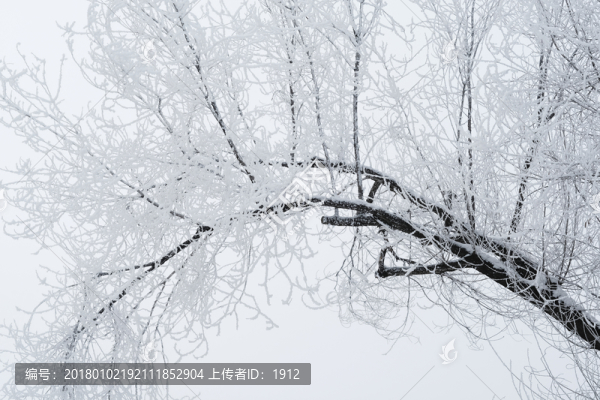霧淞