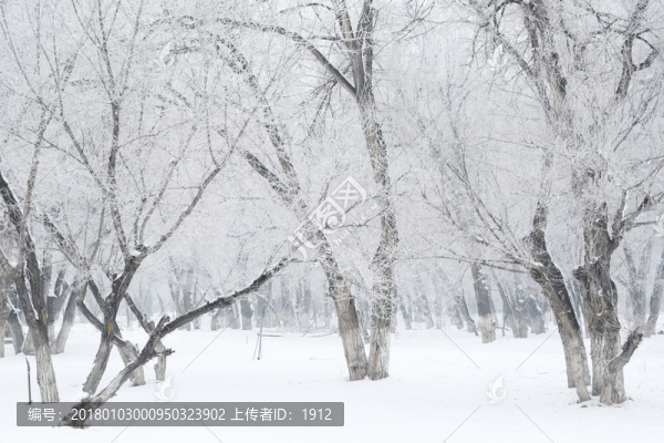 霧淞