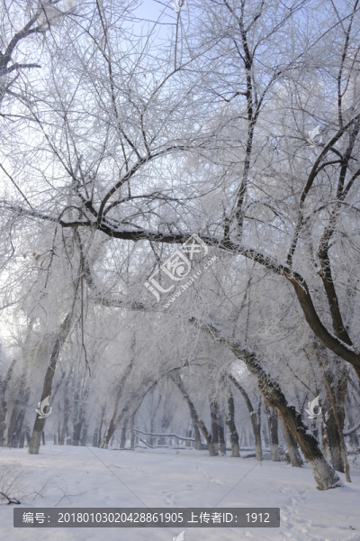 雪淞