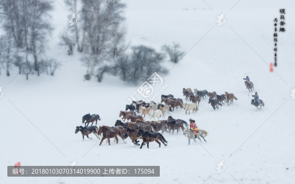 冬季壩上奔馬圖