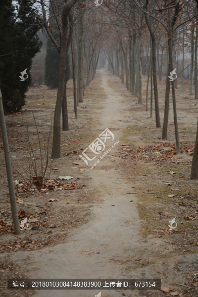 林間小路