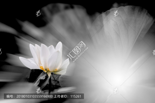 光照一點(diǎn)紅