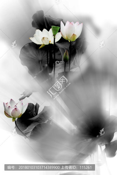 雨蒙蒙花韻