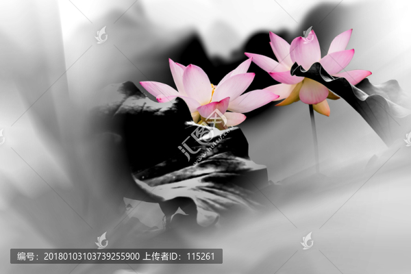 荷花裝飾畫霧蒙蒙