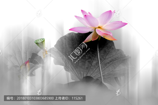 一點(diǎn)紅雨蒙蒙