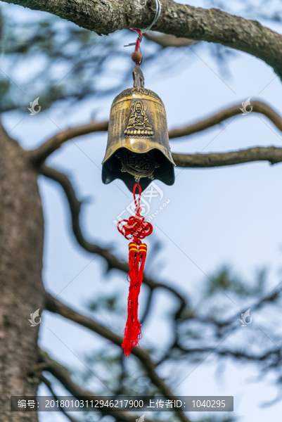 樹枝上懸掛著的鐘