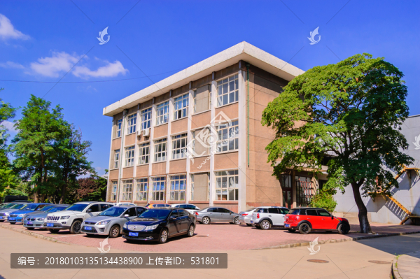 大樹(shù)下的mini